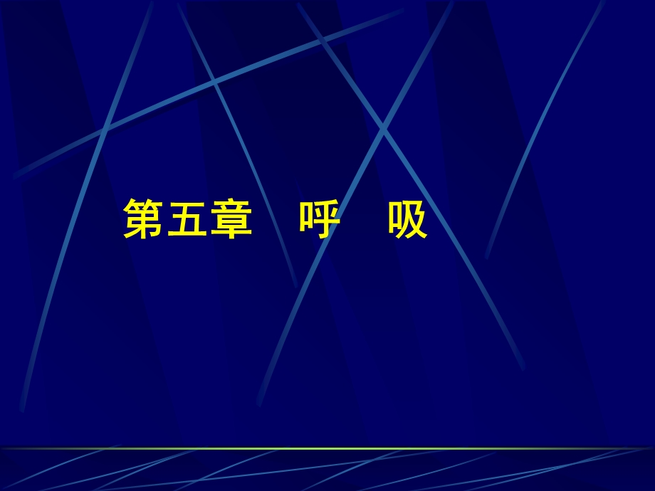 呼吸机体与外界环境之间的气体交换过程.ppt_第1页