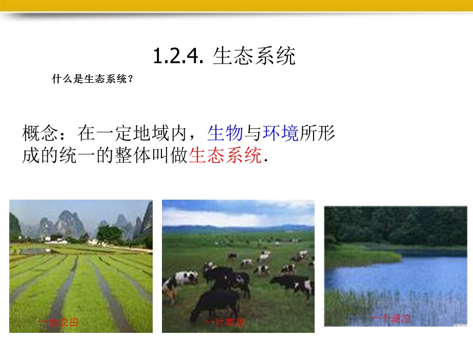 生物上册生态系统课件人教.ppt_第3页