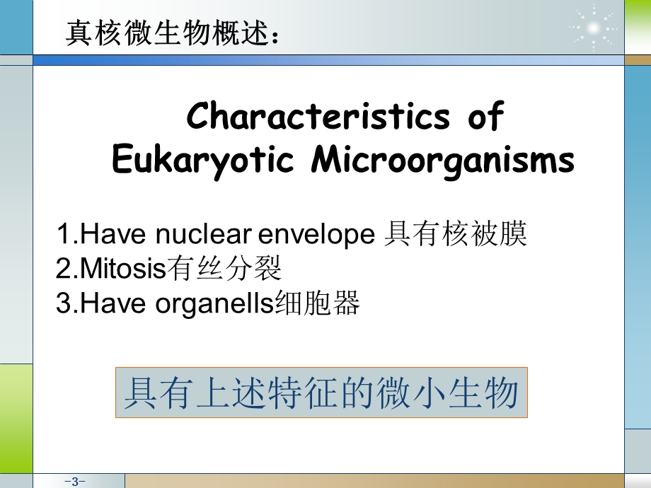 畜牧微生物学第二章真核细胞微生物.ppt_第3页