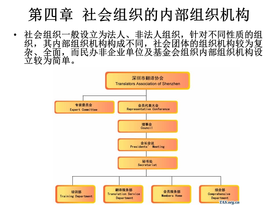 社会组织的内部机构.ppt_第1页