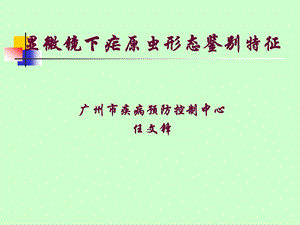 疟原虫的形态鉴别厚薄.ppt