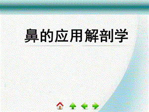 鼻解剖学及生理学PPT课件.ppt