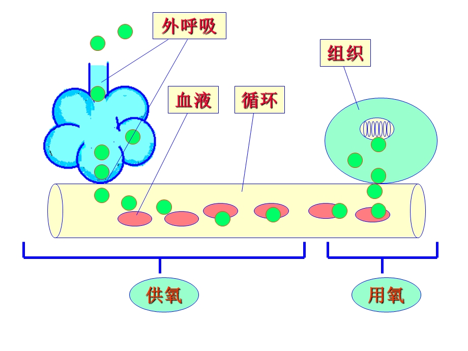 病理生理学课件呼吸衰竭.ppt_第2页