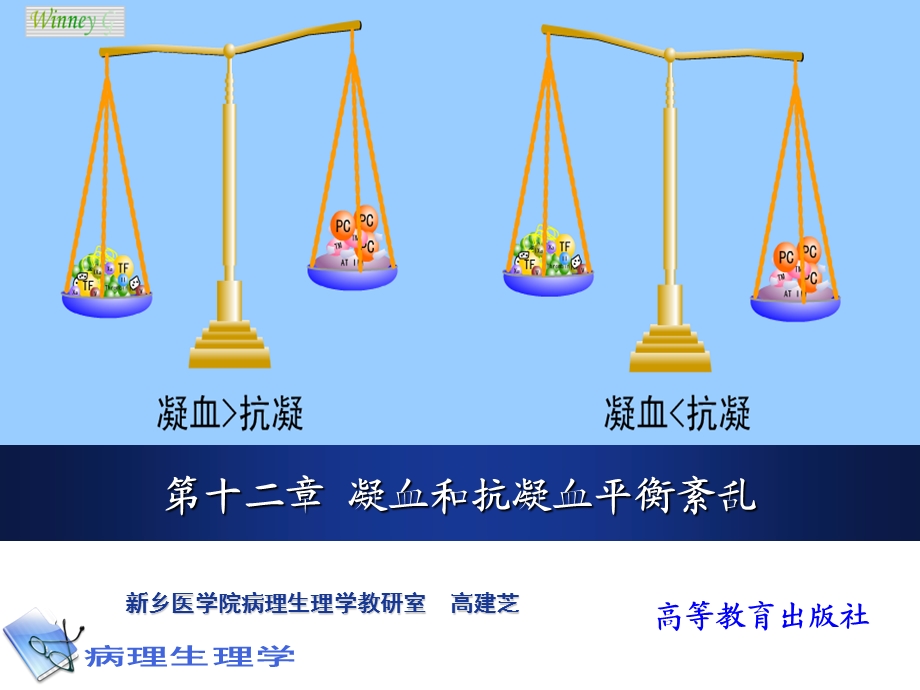 病理生理学课件-凝血和抗凝血平衡紊乱.ppt_第1页