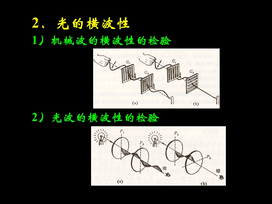 大学光学经典课件L12光的横波性与五种偏振态.ppt_第3页