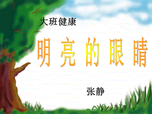 大班健康：明亮的眼睛课件.ppt