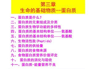 生命的物质基础蛋白质.ppt