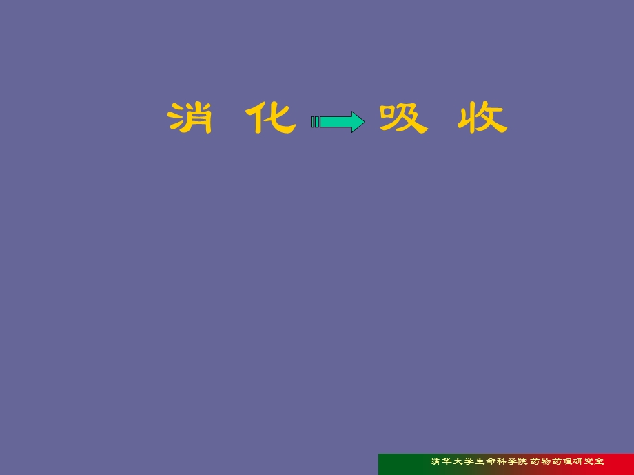 消化吸收教学课件.ppt_第1页