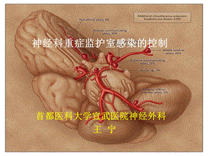 神经科重症监护室感染的控制王宁.ppt