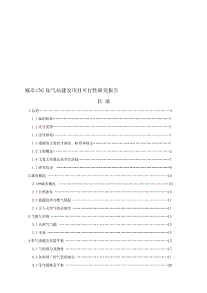 城市CNG加气站建设项目可行研究报告.doc