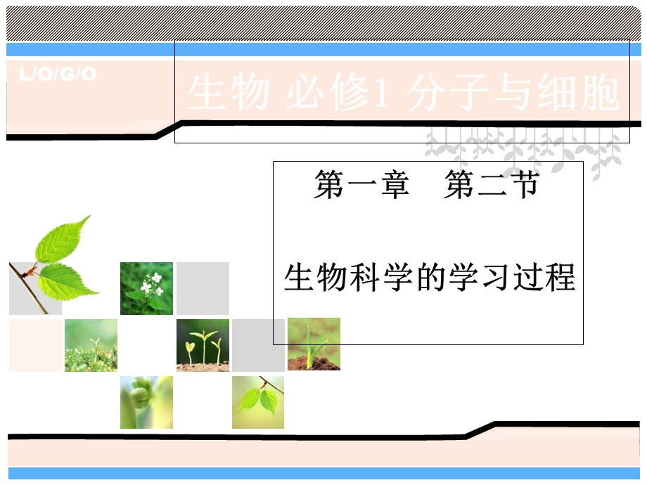 生物科学的学习过程.ppt_第1页