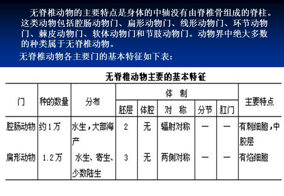 省竞赛辅导-动物分类.ppt_第2页