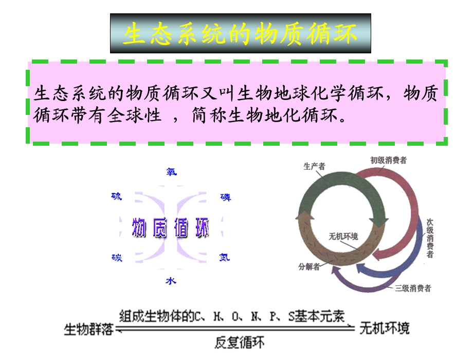 生态系统物质循环-碳氮硫循环基础知识.ppt_第2页