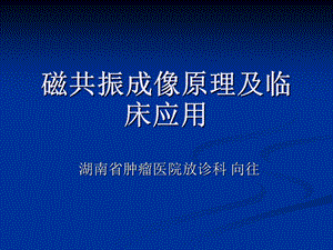 磁共振成像原理及功能磁共振.ppt