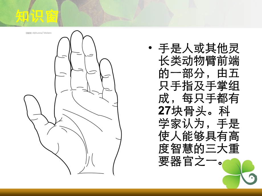 美术课《会说话的手》.ppt_第3页