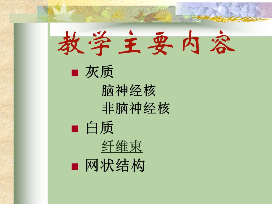 神经解剖学脑干简化.ppt_第3页