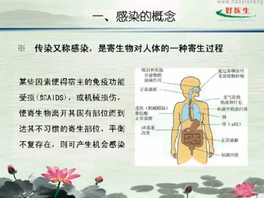 传染病学01传染病总论感染与免疫传染病流行过程传染病特征传染病的诊断传染病的治疗传染病的预防、病毒性肝炎、流行性出血热.ppt_第3页