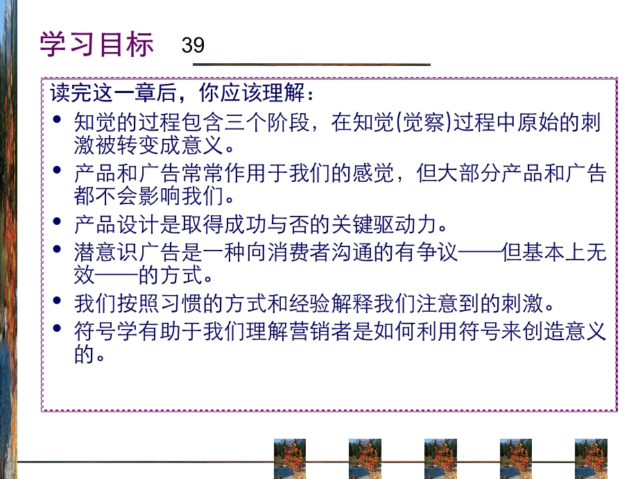 消费者行为学-知觉.ppt_第2页