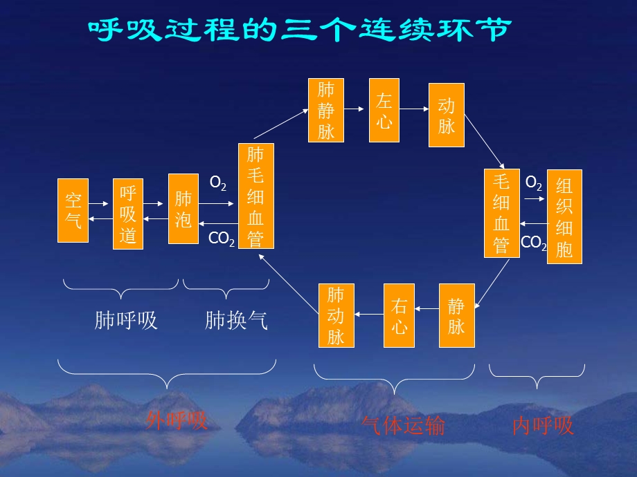 呼吸系统疾病营养治疗PPT课件.ppt_第3页