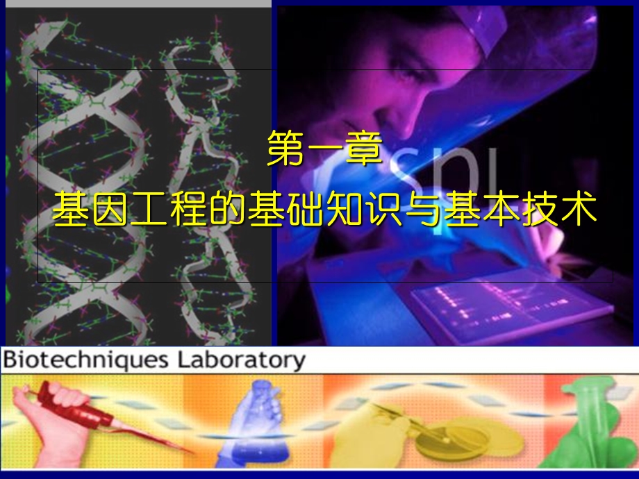 基因工程的基础知识与基本技能.ppt_第1页