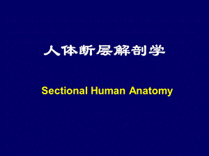 人体断层解剖学SectionalHumanAnatomyPPT课件.ppt