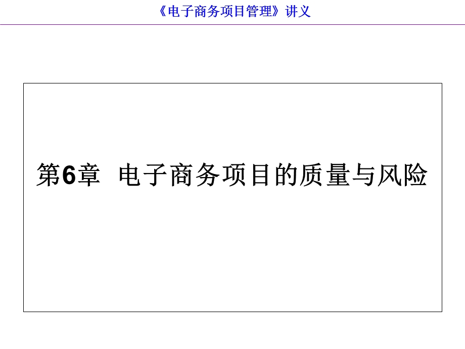 电子商务项目的质量与风险.ppt_第1页