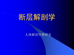 脑血管的断层解剖学PPT课件.ppt