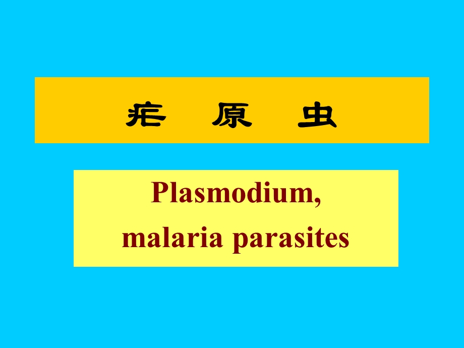 寄生虫学第九讲疟原虫、弓形虫.ppt_第2页