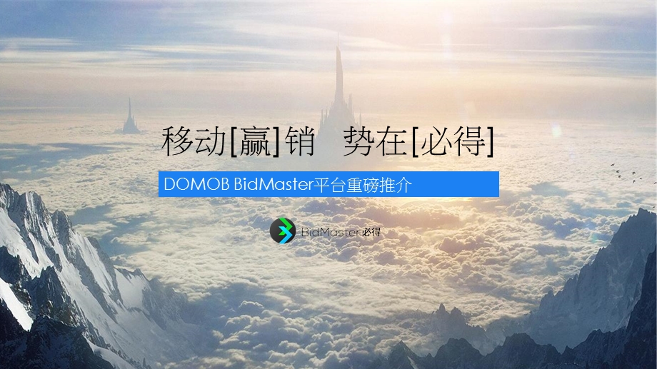 DOMOBBidMaster平台重磅推介ppt(压缩).ppt_第1页