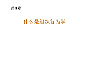 罗宾斯《组织行为学》中文12版与教材同步.ppt