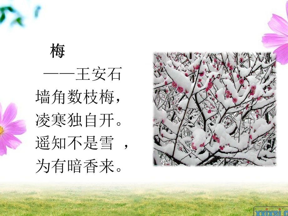 群文阅读之借物喻人.ppt_第2页