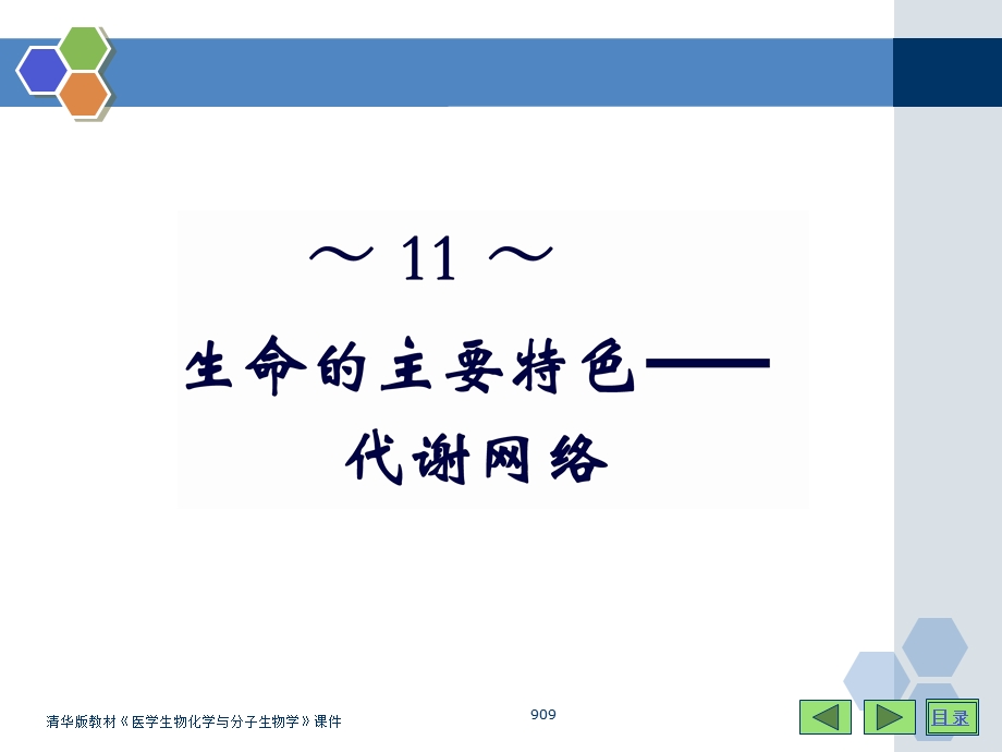 生命的主要特色-代谢网络.ppt_第1页