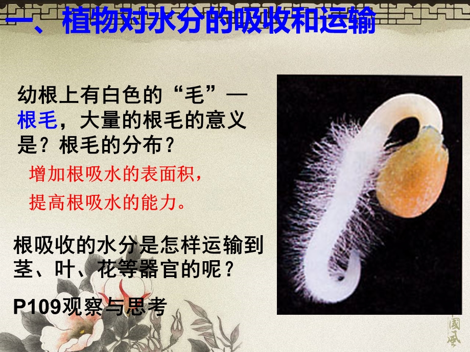 绿色植物与生物圈的水循环第一课时.ppt_第3页