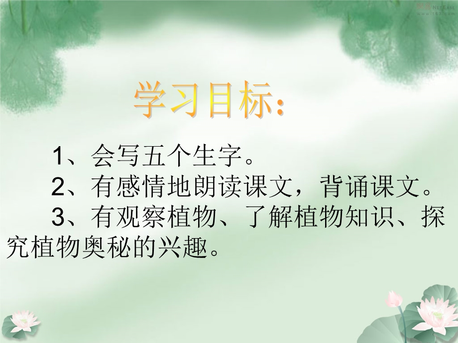 3、植物妈妈有办法第二课时 .ppt_第2页