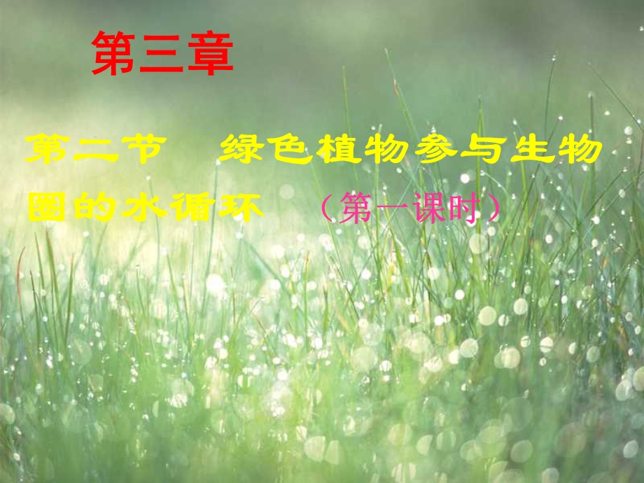 绿色植物参与生物圈的水循环第一课时.ppt_第1页