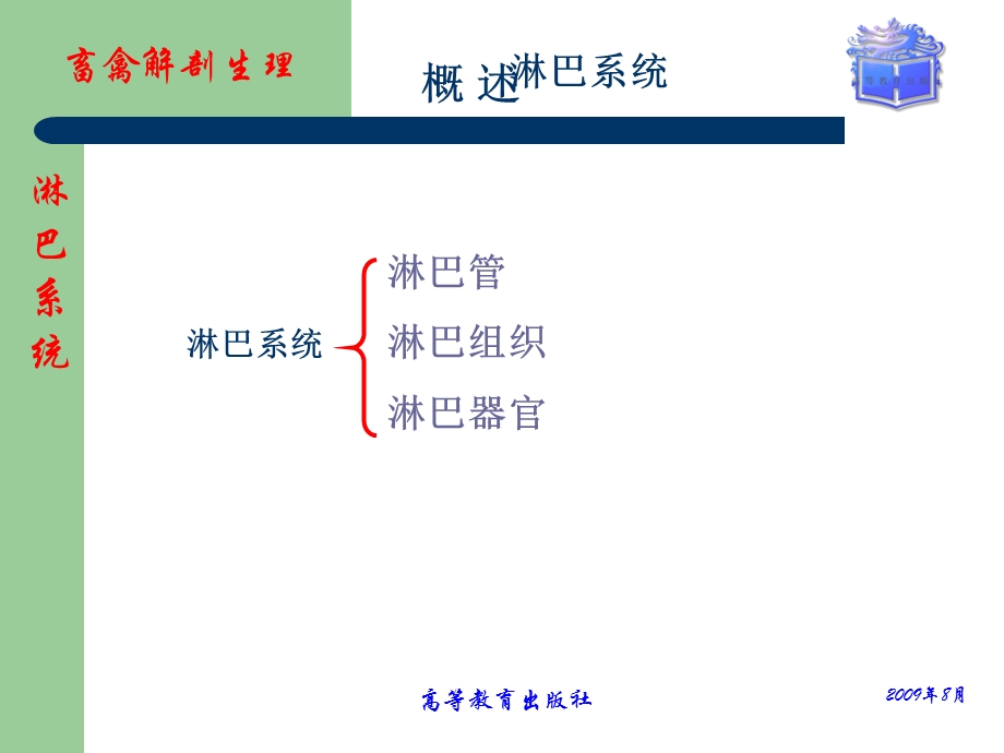 畜禽解剖生理第十章淋巴.ppt_第3页