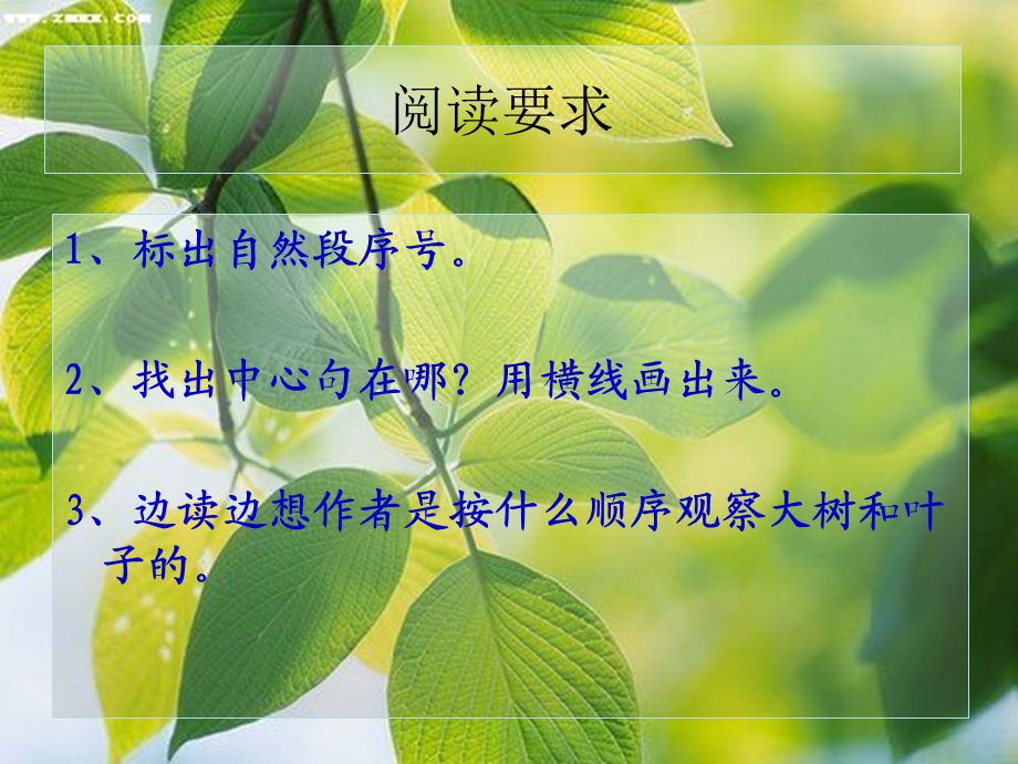 做一片美的叶子yan.ppt_第3页