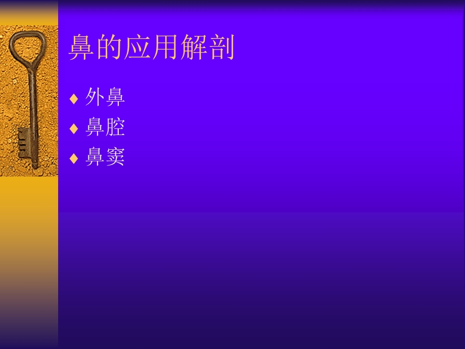 鼻的解剖生理PPT课件.ppt_第3页