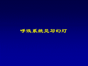 呼吸系统正常表现和基本病变见习.ppt