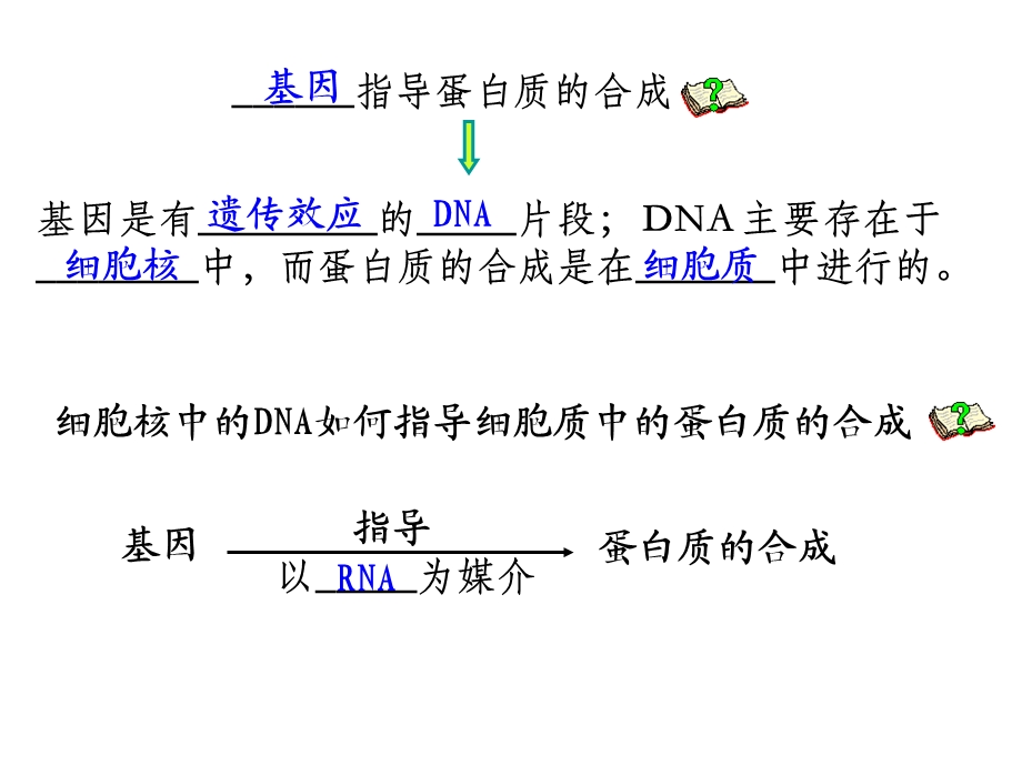 基因指导蛋白质的合成基因的表达复习课件.ppt_第3页