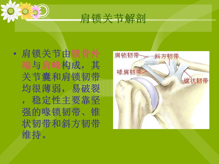 肩锁关节脱位患者的护理ppt课件.ppt_第2页