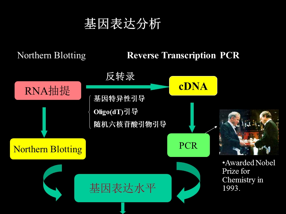 基因表达检测RTPCR.ppt_第2页