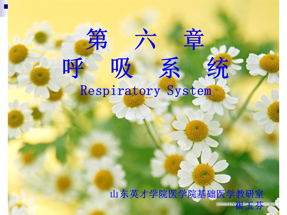 呼吸系统RespiratorySystem.ppt_第1页