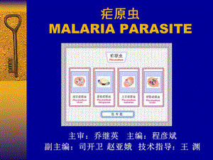 疟原虫MALARIAPARASITE.ppt