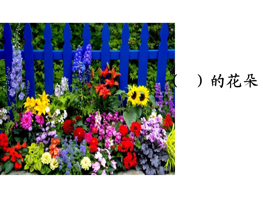 3植物妈妈有办法ppt.ppt_第2页