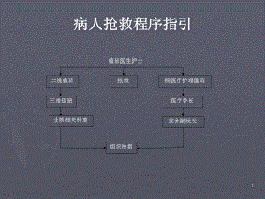 病人抢救程序指引PPT课件.ppt