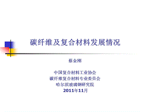 碳纤维及复合材料发展情况蔡金刚.ppt