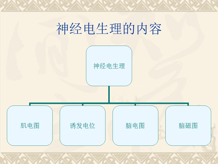 肌电图基础与临床应用.ppt_第2页