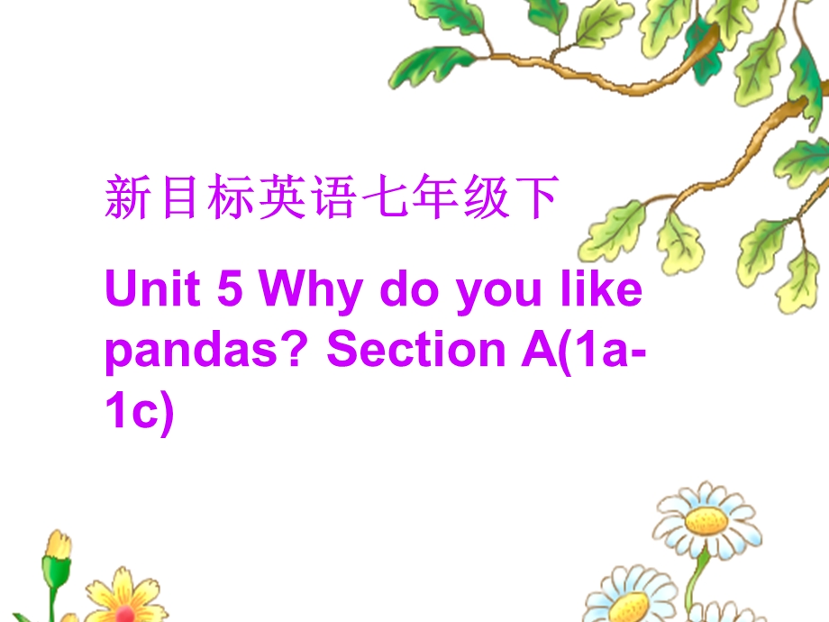 2.【课件素材一】Unit5Whydoyoulikekoalas.SectionA.ppt_第1页