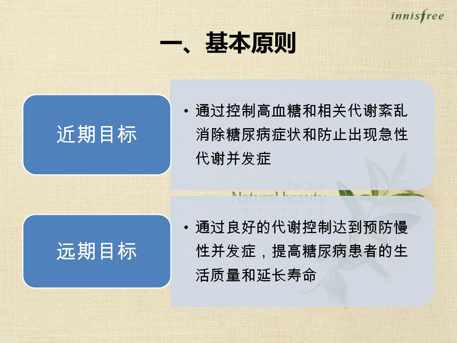 糖尿病的教育和管理张成弛.ppt_第3页